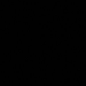 Meet your Posher, Jesse